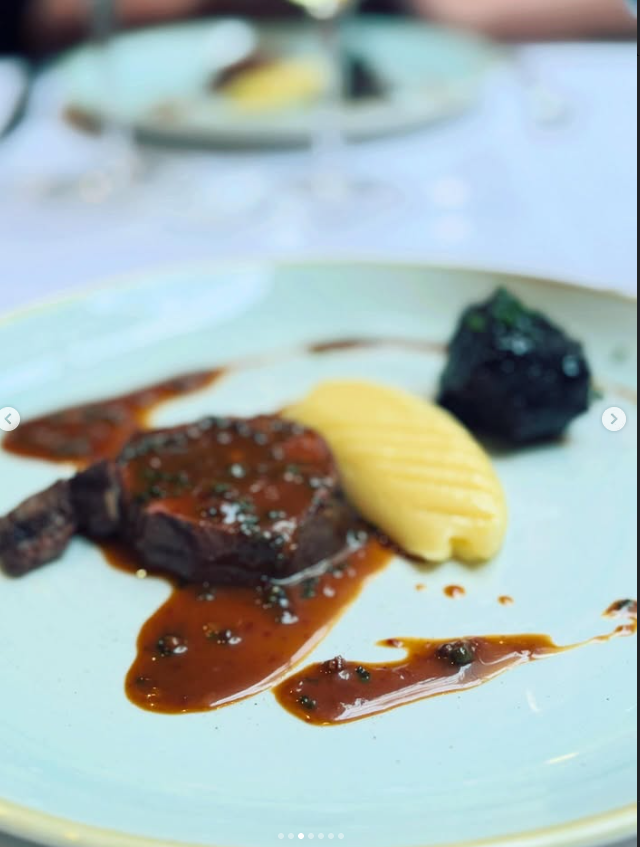 Illustrative plated entrée with sauce